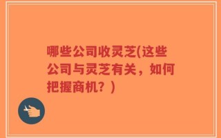 哪些公司收灵芝(这些公司与灵芝有关，如何把握商机？)