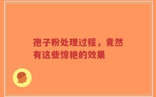 孢子粉处理过程，竟然有这些惊艳的效果