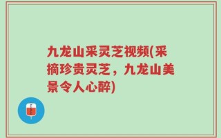 九龙山采灵芝视频(采摘珍贵灵芝，九龙山美景令人心醉)