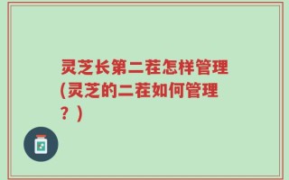 灵芝长第二茬怎样管理(灵芝的二茬如何管理？)