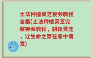 土法种植灵芝视频教程全集(土法种植灵芝完整视频教程，耕耘灵芝，让生命之芽在家中萌发)