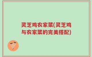灵芝鸡农家菜(灵芝鸡与农家菜的完美搭配)