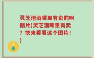 灵芝泡酒哪里有卖的啊图片(灵芝酒哪里有卖？快来看看这个图片！)