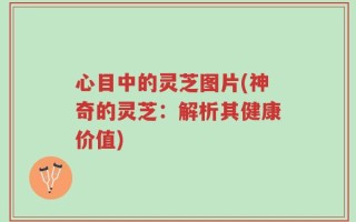 心目中的灵芝图片(神奇的灵芝：解析其健康价值)