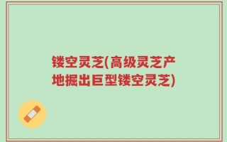 镂空灵芝(高级灵芝产地掘出巨型镂空灵芝)