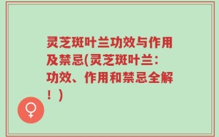 灵芝斑叶兰功效与作用及禁忌(灵芝斑叶兰：功效、作用和禁忌全解！)