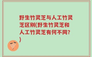野生竹灵芝与人工竹灵芝区别(野生竹灵芝和人工竹灵芝有何不同？)
