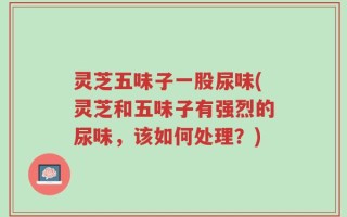 灵芝五味子一股尿味(灵芝和五味子有强烈的尿味，该如何处理？)