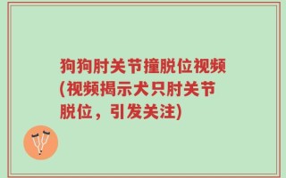 狗狗肘关节撞脱位视频(视频揭示犬只肘关节脱位，引发关注)