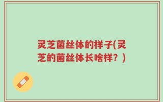灵芝菌丝体的样子(灵芝的菌丝体长啥样？)