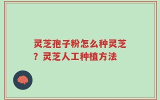 灵芝孢子粉怎么种灵芝？灵芝人工种植方法