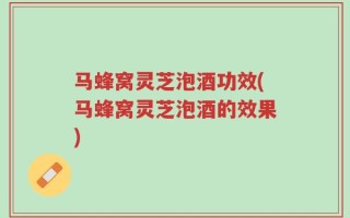 马蜂窝灵芝泡酒功效(马蜂窝灵芝泡酒的效果)