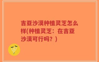 吉亚沙漠种植灵芝怎么样(种植灵芝：在吉亚沙漠可行吗？)