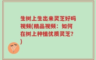 生树上生出来灵芝好吗视频(精品视频：如何在树上种植优质灵芝？)