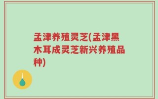 孟津养殖灵芝(孟津黑木耳成灵芝新兴养殖品种)