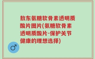 敖东氨糖软骨素透明质酸片图片(氨糖软骨素透明质酸片-保护关节健康的理想选择)