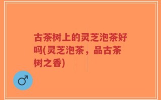 古茶树上的灵芝泡茶好吗(灵芝泡茶，品古茶树之香)