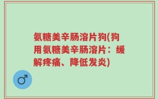 氨糖美辛肠溶片狗(狗用氨糖美辛肠溶片：缓解疼痛、降低发炎)