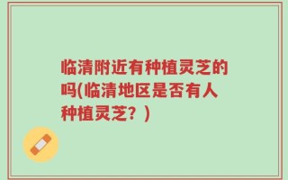 临清附近有种植灵芝的吗(临清地区是否有人种植灵芝？)