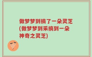 做梦梦到摘了一朵灵芝(做梦梦到采摘到一朵神奇之灵芝)