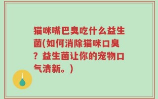猫咪嘴巴臭吃什么益生菌(如何消除猫咪口臭？益生菌让你的宠物口气清新。)