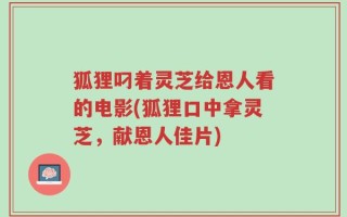 狐狸叼着灵芝给恩人看的电影(狐狸口中拿灵芝，献恩人佳片)