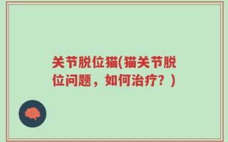 关节脱位猫(猫关节脱位问题，如何治疗？)