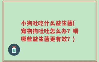 小狗吐吃什么益生菌(宠物狗吐吐怎么办？喂哪些益生菌更有效？)