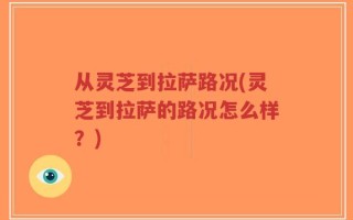从灵芝到拉萨路况(灵芝到拉萨的路况怎么样？)