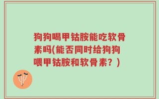 狗狗喝甲钴胺能吃软骨素吗(能否同时给狗狗喂甲钴胺和软骨素？)