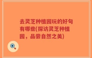 去灵芝种植园玩的好句有哪些(探访灵芝种植园，品尝自然之美)