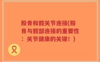 股骨和髋关节连接(股骨与髋部连接的重要性：关节健康的关键！)