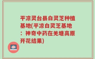 平凉灵台县白灵芝种植基地(平凉白灵芝基地：神奇中药在羌塘高原开花结果)