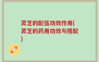 灵芝的配伍功效作用(灵芝的药用功效与搭配)