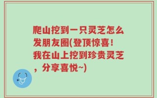 爬山挖到一只灵芝怎么发朋友圈(登顶惊喜！我在山上挖到珍贵灵芝，分享喜悦~)