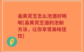 桑黄灵芝怎么泡酒好喝呢(桑黄灵芝酒的泡制方法，让你享受美味佳饮)