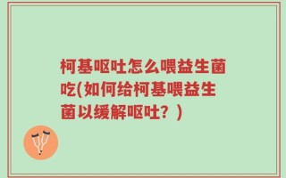 柯基呕吐怎么喂益生菌吃(如何给柯基喂益生菌以缓解呕吐？)