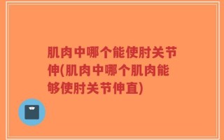 肌肉中哪个能使肘关节伸(肌肉中哪个肌肉能够使肘关节伸直)