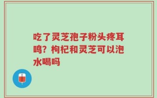 吃了灵芝孢子粉头疼耳鸣？枸杞和灵芝可以泡水喝吗