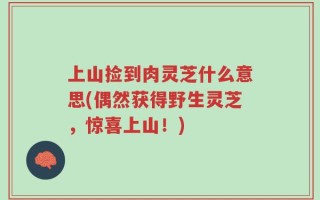 上山捡到肉灵芝什么意思(偶然获得野生灵芝，惊喜上山！)