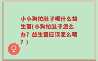 小小狗拉肚子喂什么益生菌(小狗拉肚子怎么办？益生菌应该怎么喂？)