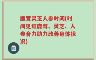 鹿茸灵芝人参时间(时间见证鹿茸、灵芝、人参合力助力改善身体状况)
