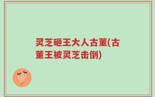 灵芝砸王大人古董(古董王被灵芝击倒)