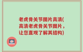 老虎骨关节图片高清(高清老虎骨关节图片，让您直观了解其结构)