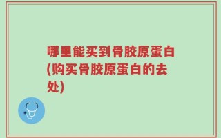 哪里能买到骨胶原蛋白(购买骨胶原蛋白的去处)