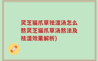 灵芝猫爪草祛湿汤怎么熬灵芝猫爪草汤熬法及祛湿效果解析)