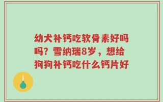 幼犬补钙吃软骨素好吗吗？雪纳瑞8岁，想给狗狗补钙吃什么钙片好