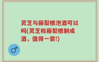 灵芝与藤梨根泡酒可以吗(灵芝和藤梨根制成酒，值得一尝!)