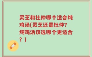灵芝和杜仲哪个适合炖鸡汤(灵芝还是杜仲？炖鸡汤该选哪个更适合？)