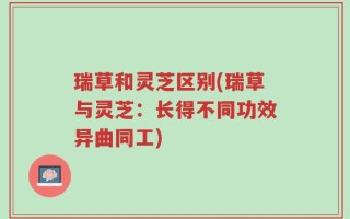 瑞草和灵芝区别(瑞草与灵芝：长得不同功效异曲同工)